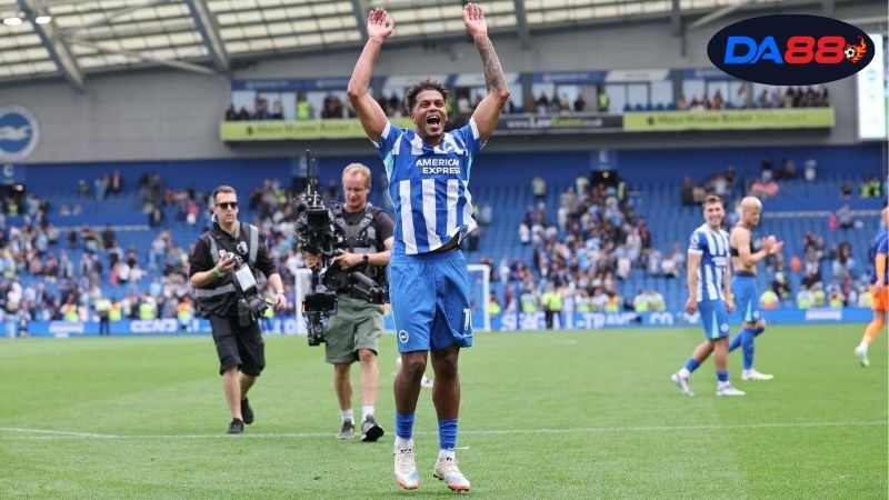 Soi kèo bóng đá Barnsley vs Brighton, 01h45 ngày 24/9, Brighton khó đỡ! 5 Thông tin lực Barnsley vs Brighton mới nhất