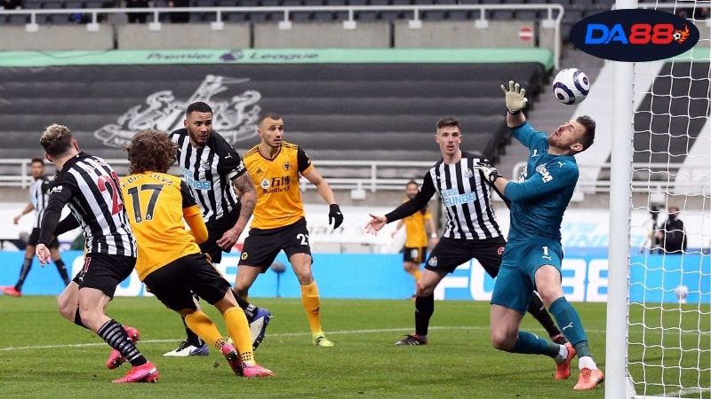 Soi kèo bóng đá Newcastle vs Wolves, 21h00 ngày 13/9, chích chòe thể hiện 8 Thông tin lực lượng Newcastle vs Wolves mới nhất