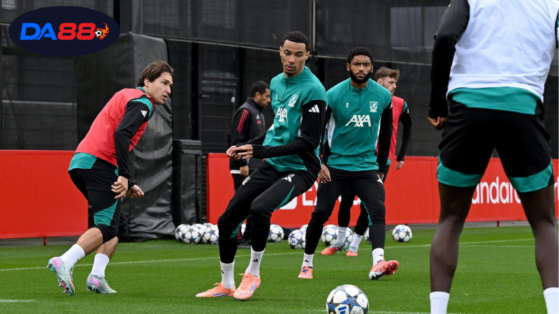 Soi kèo bóng đá Frankfurt vs Liverpool, 02h00 ngày 23/10, Liverpool thua 3 Thông tin lực lượng Frankfurt vs Liverpool mới nhất